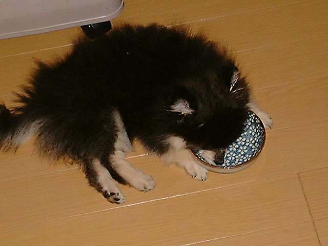 b0250998_1684829.jpg