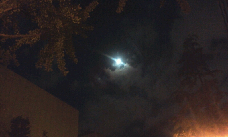 c0212604_071433.jpg