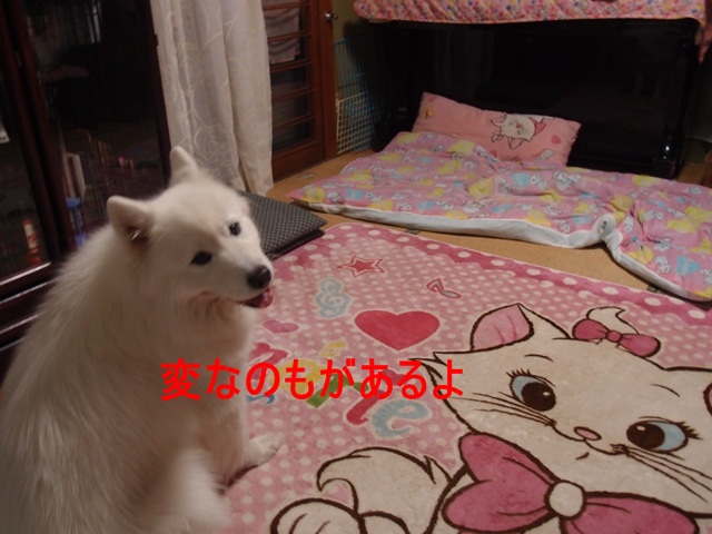 e0018604_2081410.jpg