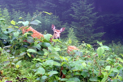 c0148705_2324165.jpg