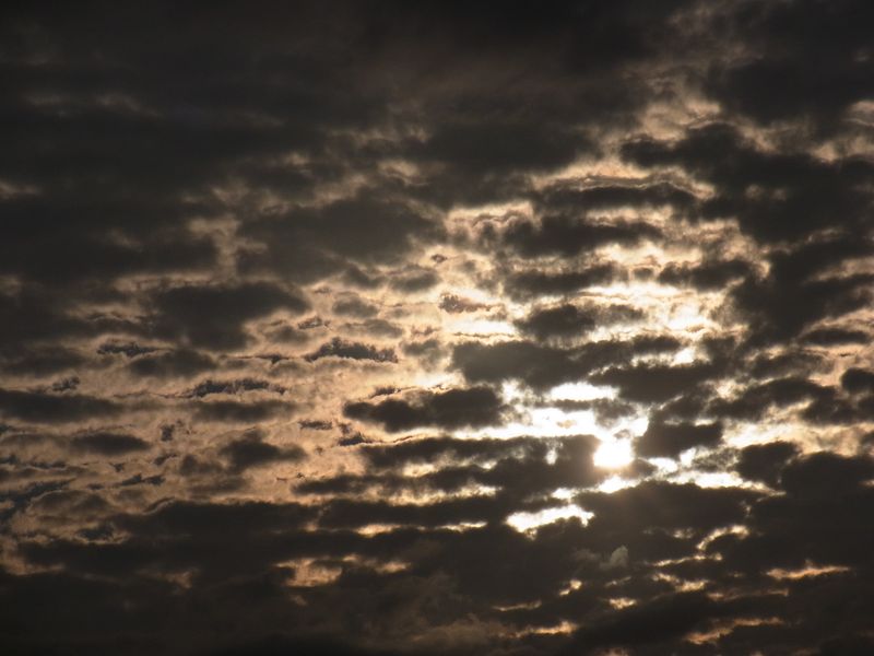 皮膚の角質化層を思わせる雲_c0025115_19333495.jpg
