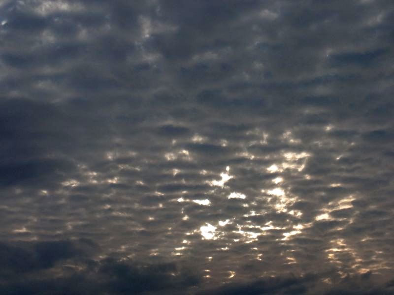 皮膚の角質化層を思わせる雲_c0025115_19333858.jpg