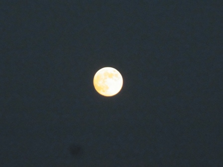 e0049015_15205713.jpg
