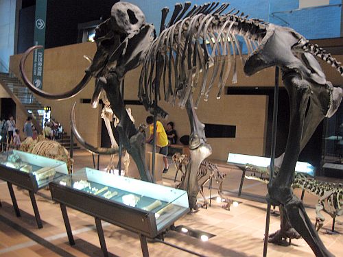 e0114015_0213272.jpg