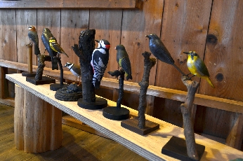 c0110117_1432738.jpg