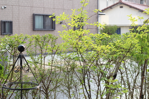 b0197418_1971566.jpg