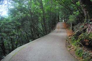 瀬戸内ドライブ☆極楽寺山_b0209919_2230328.jpg