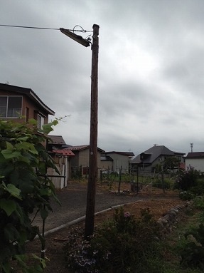 b0150120_921205.jpg