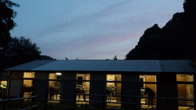 b0187620_209784.jpg