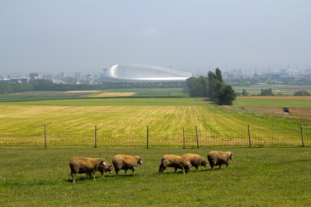 c0103425_816998.jpg