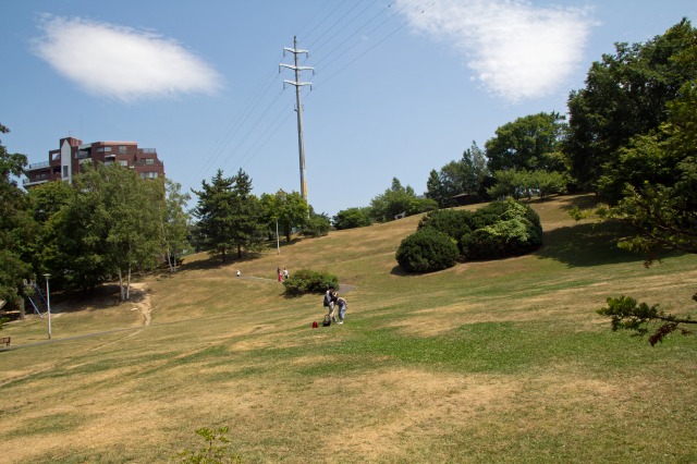 c0103425_8252525.jpg