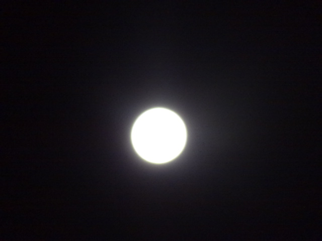 e0016828_11583977.jpg