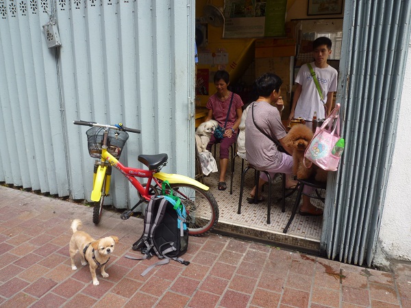 Macau　旅日記　お気に入り編_a0024829_2147680.jpg