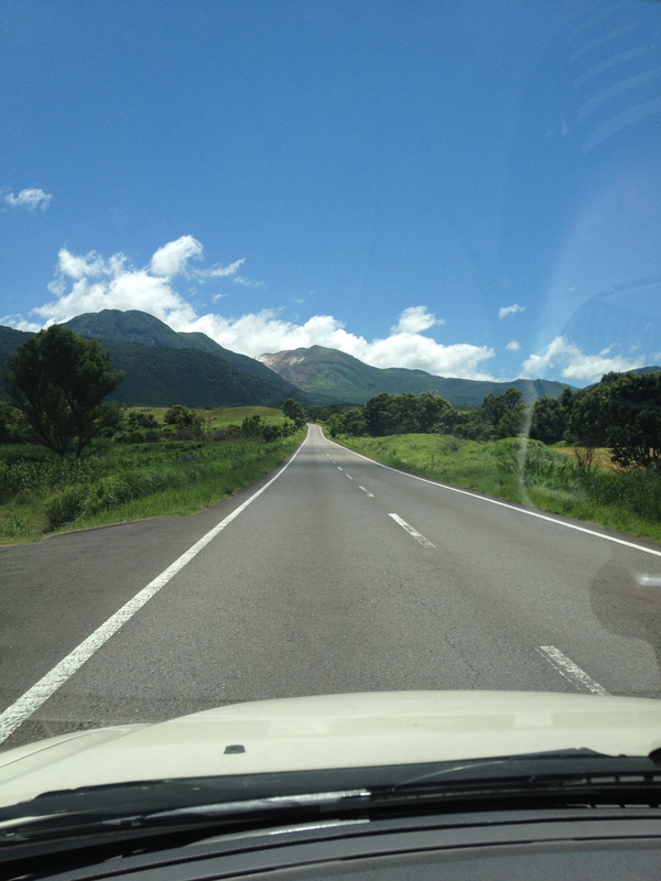 a0254133_8391546.jpg