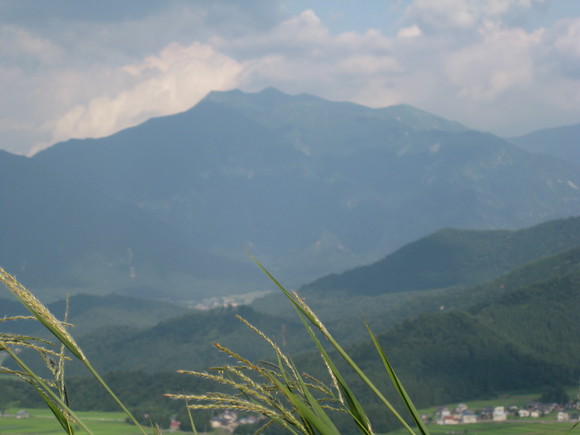 a0158236_1948107.jpg