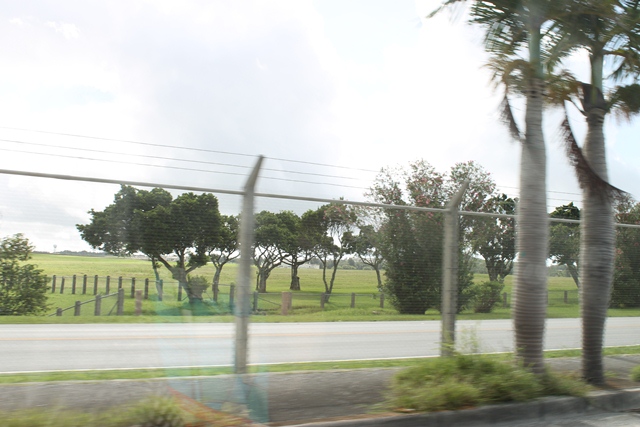 d0222641_15451737.jpg