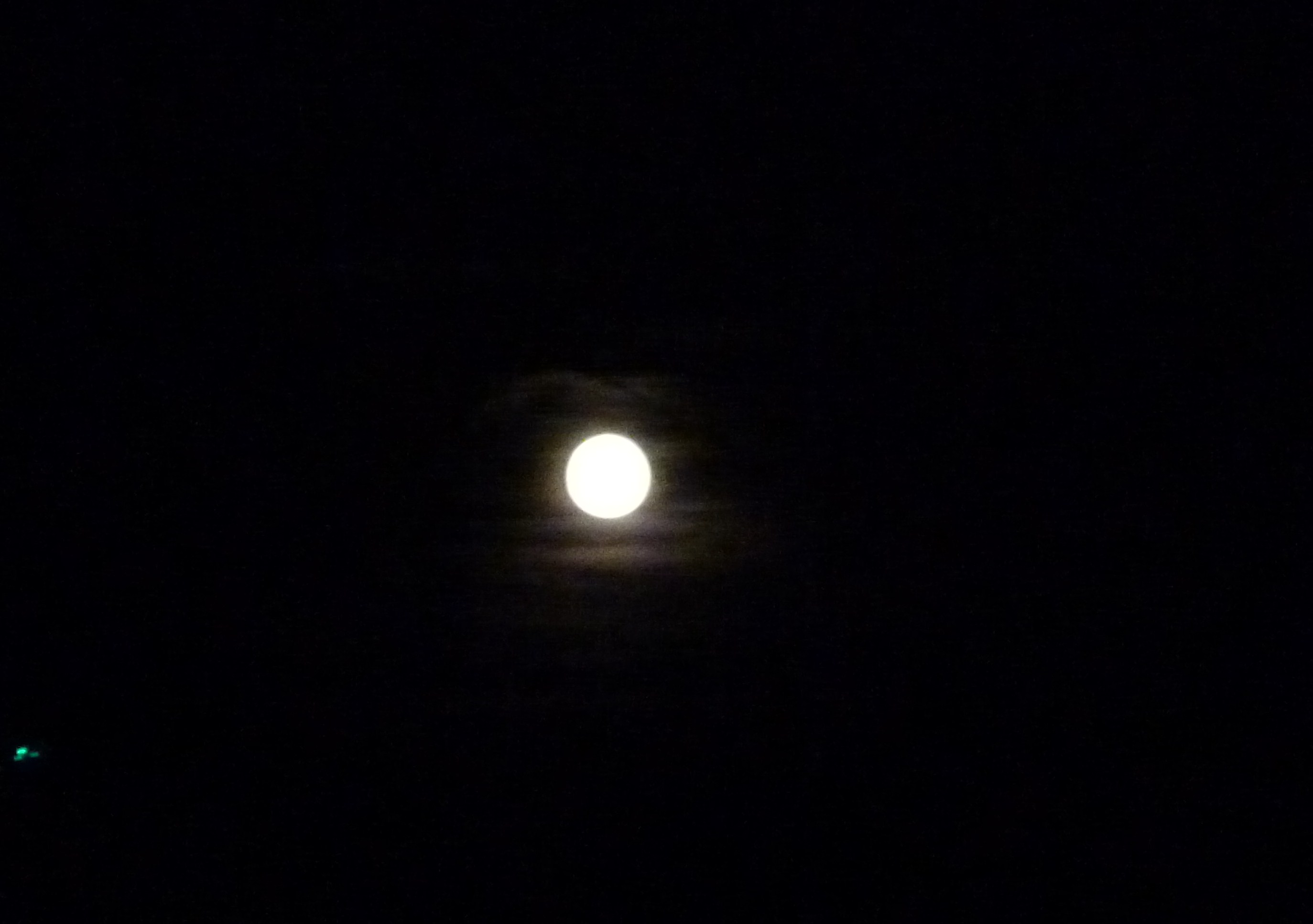 b0238249_20521852.jpg