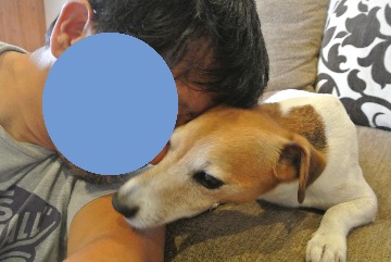 ツンデレ_d0143957_1739329.jpg