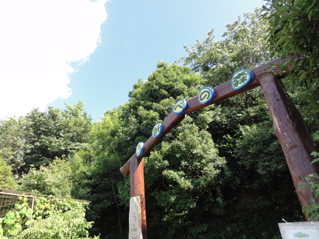 カニの道作り現場検証 in せんなん里海公園_c0108460_1292887.jpg