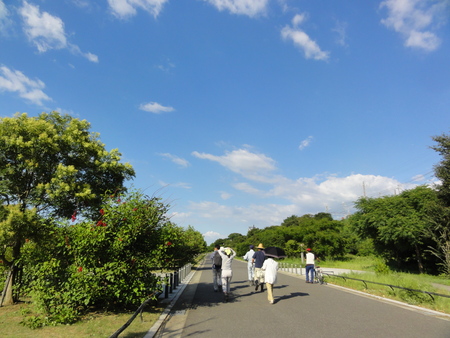 カニの道作り現場検証 in せんなん里海公園_c0108460_1334472.jpg