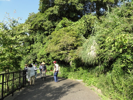 カニの道作り現場検証 in せんなん里海公園_c0108460_1341259.jpg
