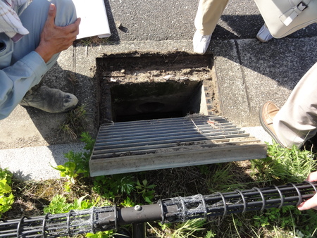 カニの道作り現場検証 in せんなん里海公園_c0108460_1345052.jpg