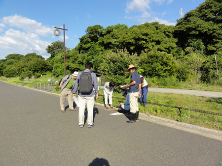 カニの道作り現場検証 in せんなん里海公園_c0108460_1352991.jpg