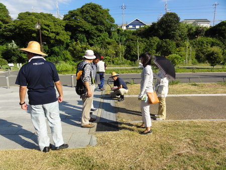 カニの道作り現場検証 in せんなん里海公園_c0108460_1355436.jpg