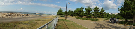 カニの道作り現場検証 in せんなん里海公園_c0108460_1402164.jpg