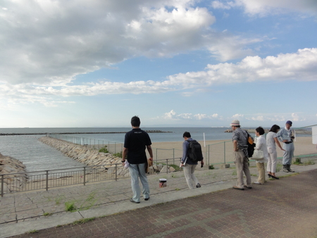 カニの道作り現場検証 in せんなん里海公園_c0108460_1404747.jpg