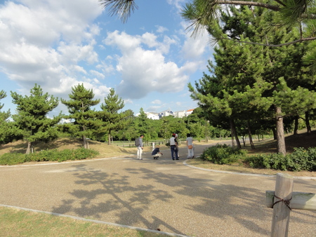 カニの道作り現場検証 in せんなん里海公園_c0108460_14545100.jpg