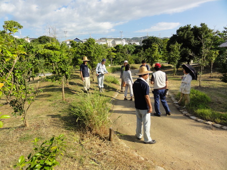 カニの道作り現場検証 in せんなん里海公園_c0108460_145857.jpg