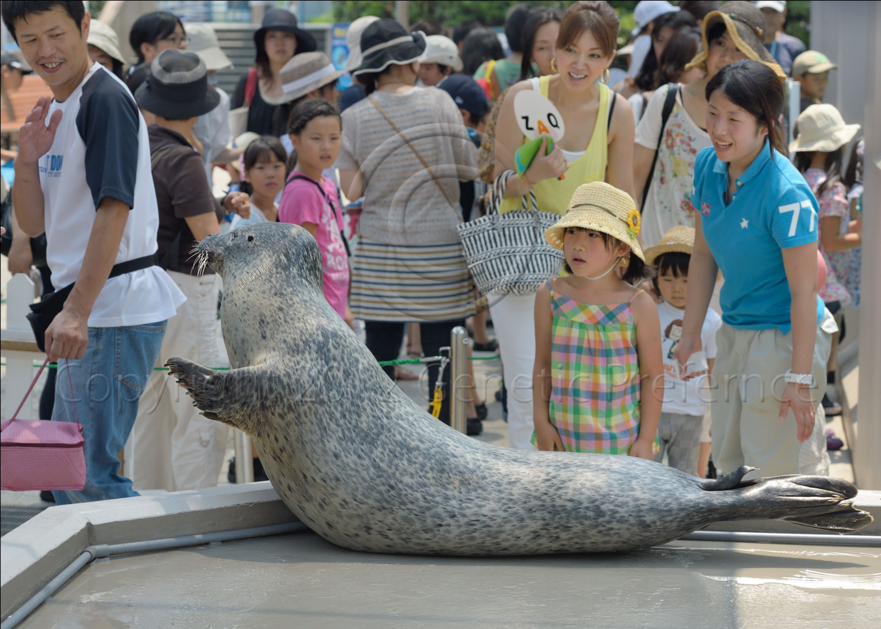 須磨海浜水族園　Vol.9_a0111162_14114252.jpg