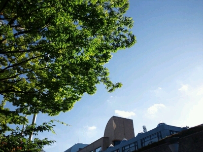 b0108363_1848467.jpg