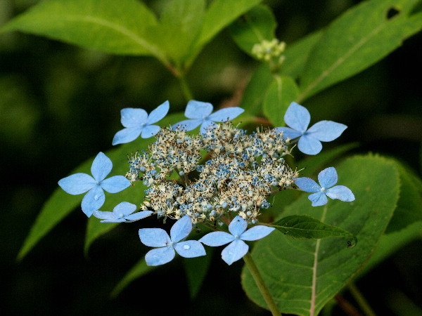 f0208666_21292542.jpg