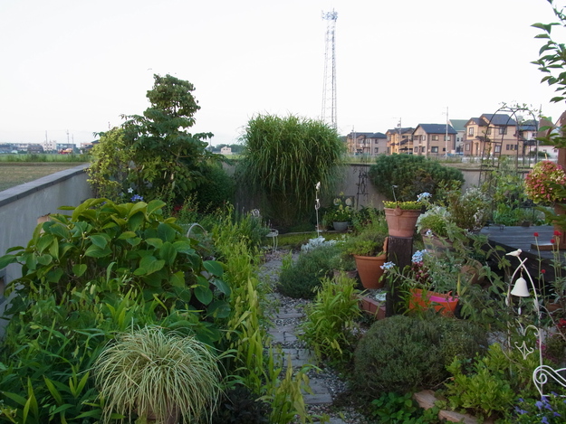b0194267_2012247.jpg