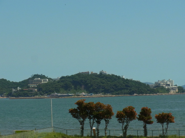 b0194267_2054477.jpg