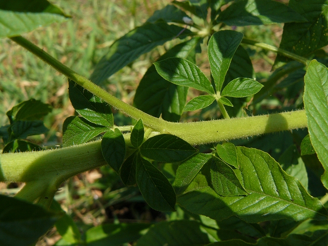 d0019074_8334457.jpg