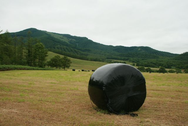 c0104378_9533058.jpg