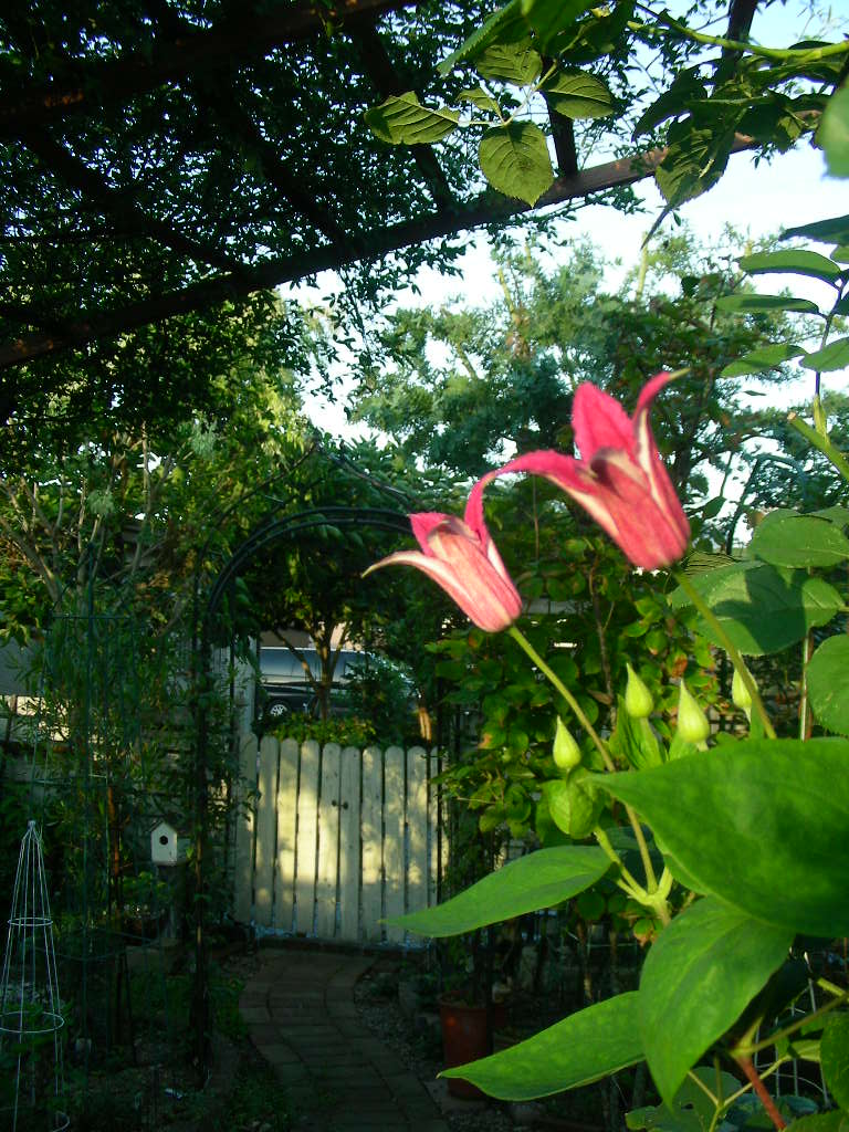 b0096584_17514973.jpg