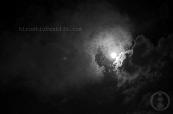 月夜の滑り台_c0229485_1364235.jpg