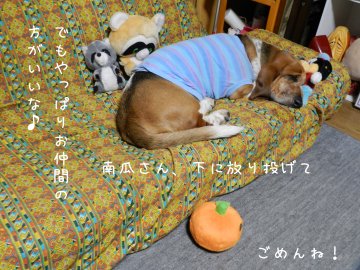 f0205887_21222474.jpg