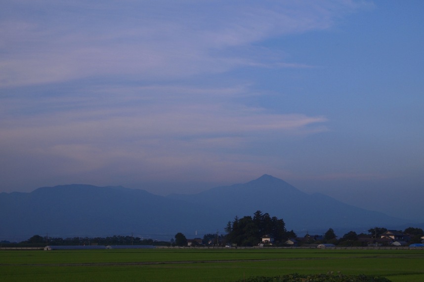 f0174989_1651781.jpg