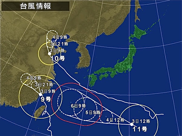 ベトナムレイヨウ，象そしてイソギンチャク_d0006690_1353212.jpg