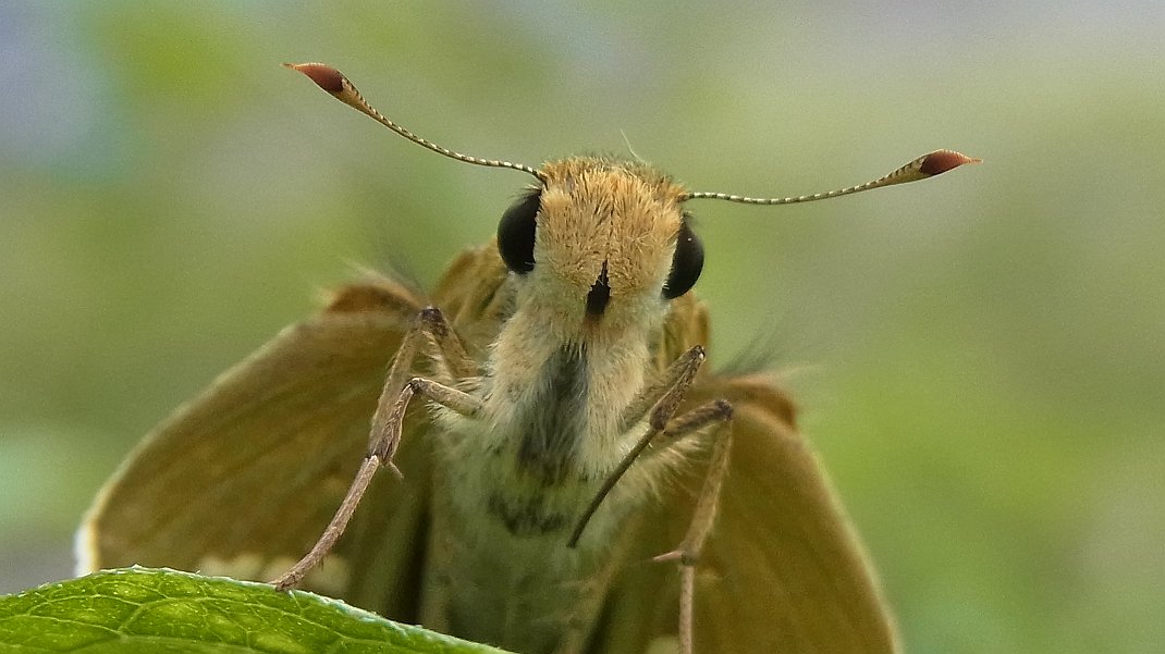 a0152692_18141720.jpg