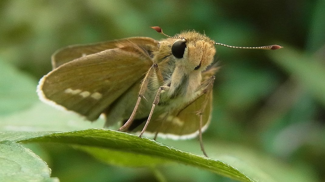 a0152692_1814392.jpg
