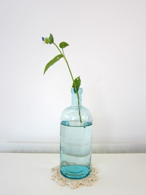 Blue Flower & Blue Bottles _d0249193_9351936.jpg