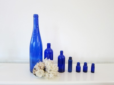 Blue Flower & Blue Bottles _d0249193_9362867.jpg