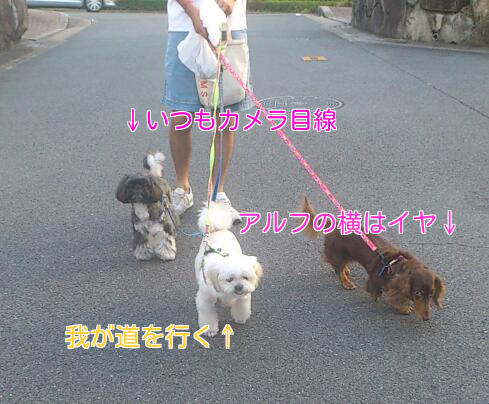 b0237894_1532621.png