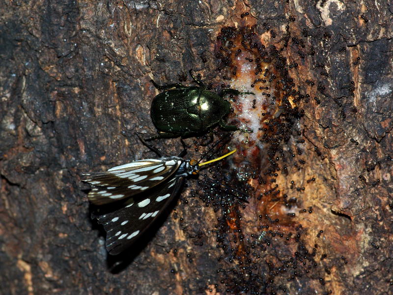 f0204094_20301146.jpg
